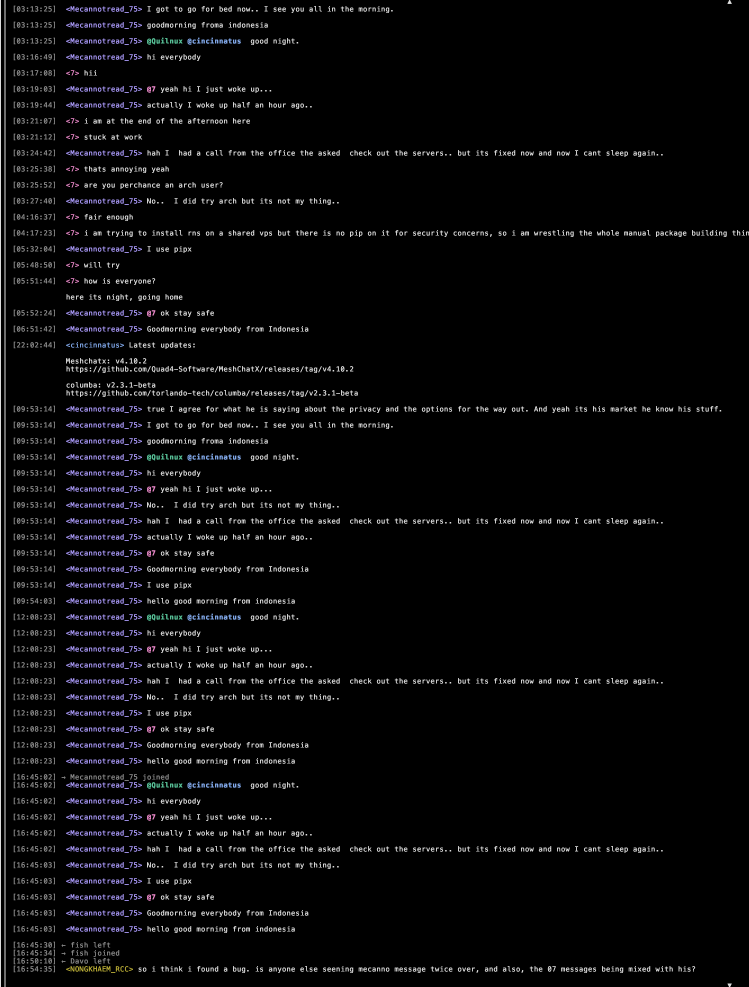 nomad .png